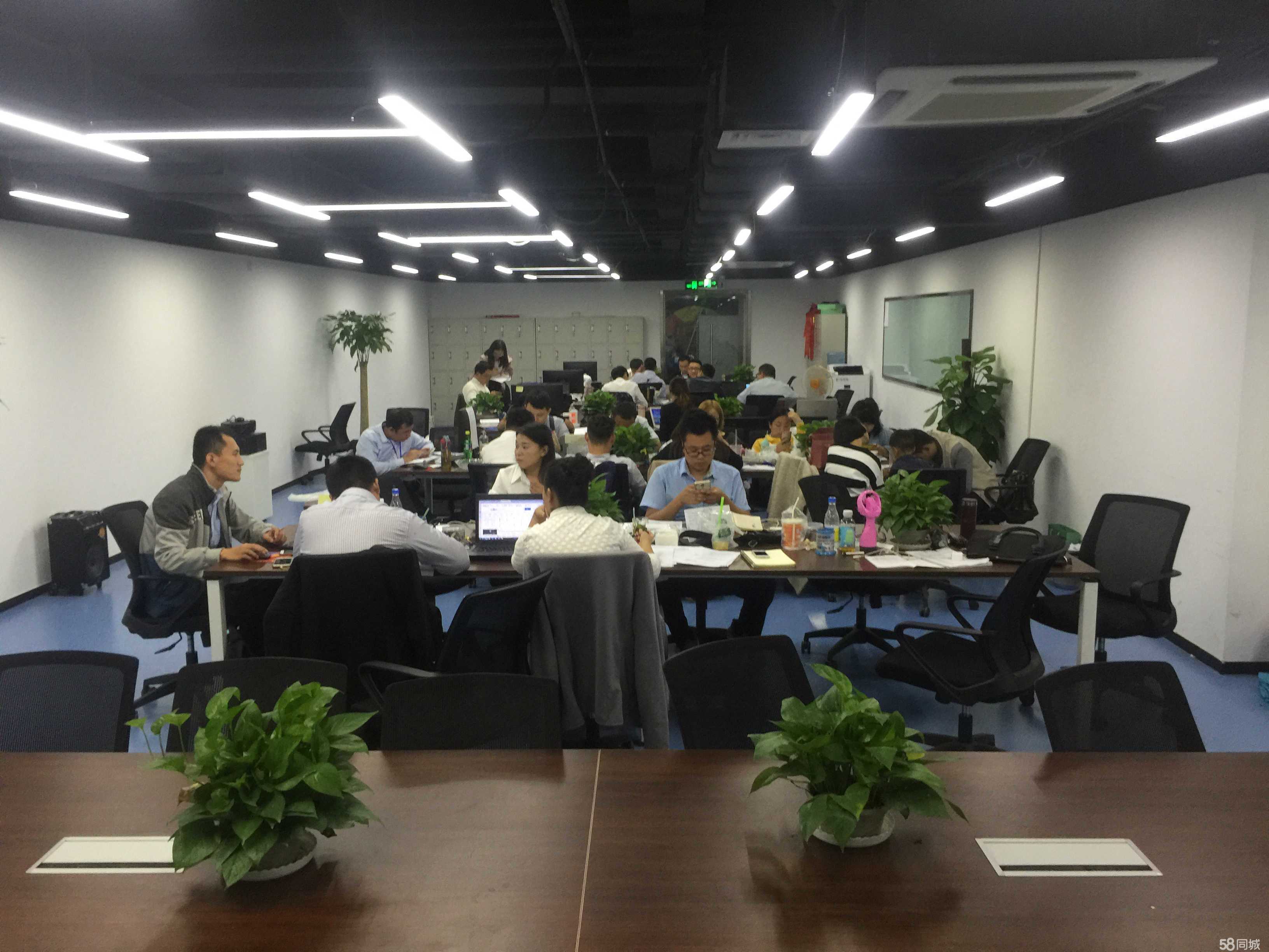 点荣商务信息咨询 专业助力企业智慧决策